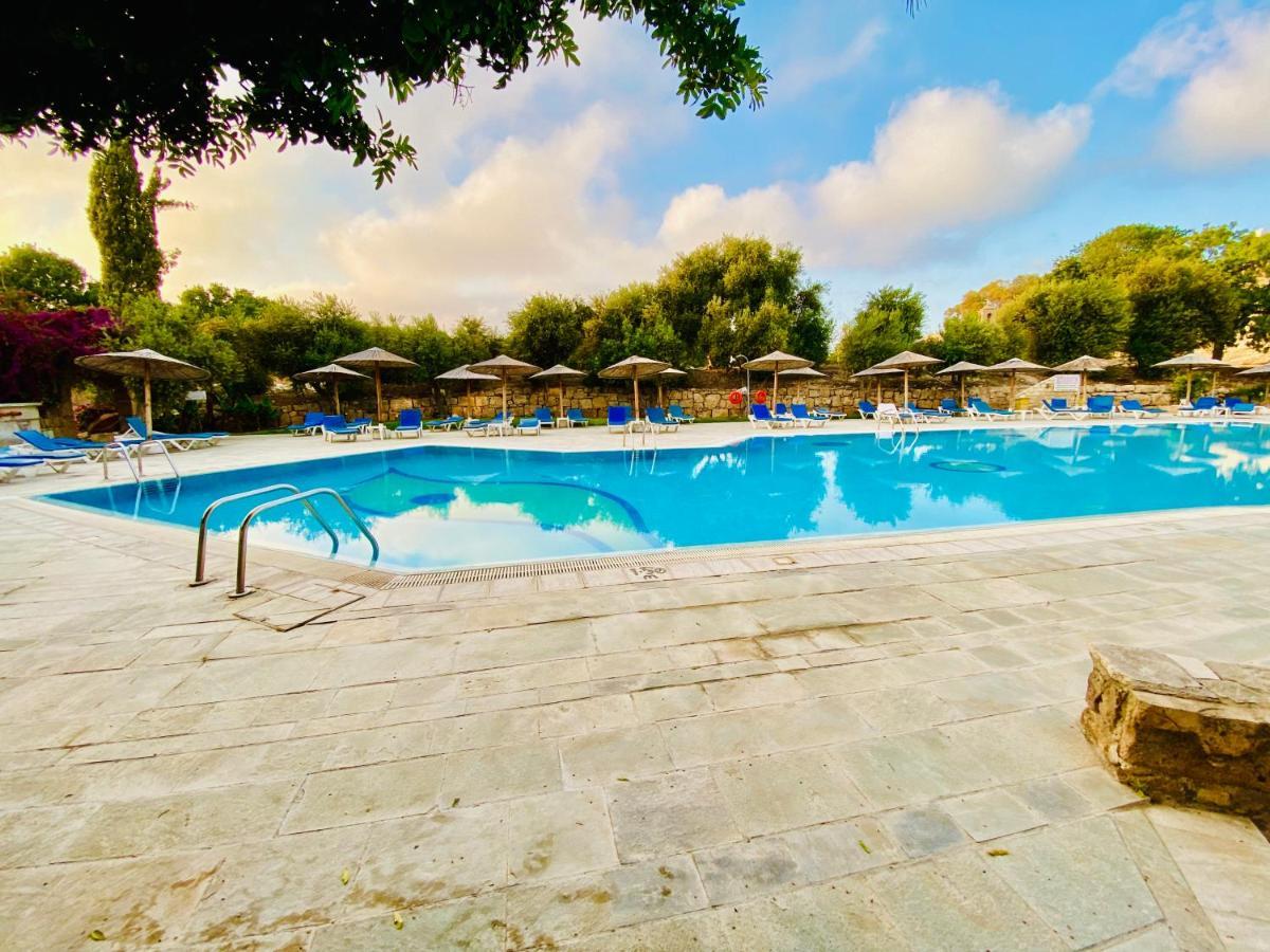 Paphos Basillica 3 Bedrooms Apartment מראה חיצוני תמונה